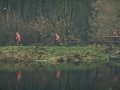polmaraton_mikolajow_2009_107_20130404_1620462584