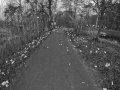 polmaraton_mikolajow_2009_132_20130404_1131367351