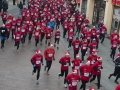 szeroka_132_20130516_1224038778